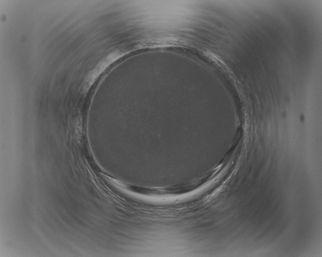 X0000056001457200509021651