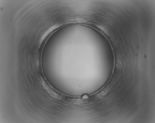 X0000056001458200509021651