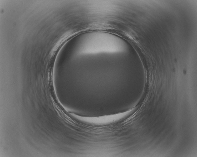 X0000056001459200509021651