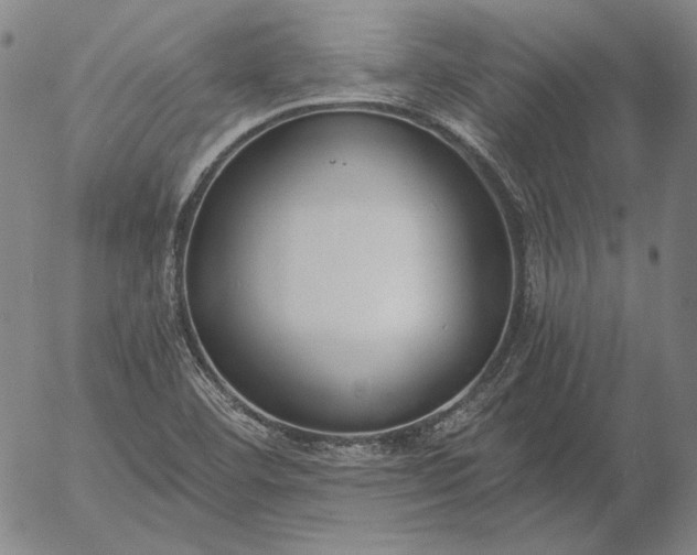 X0000056001460200509021651