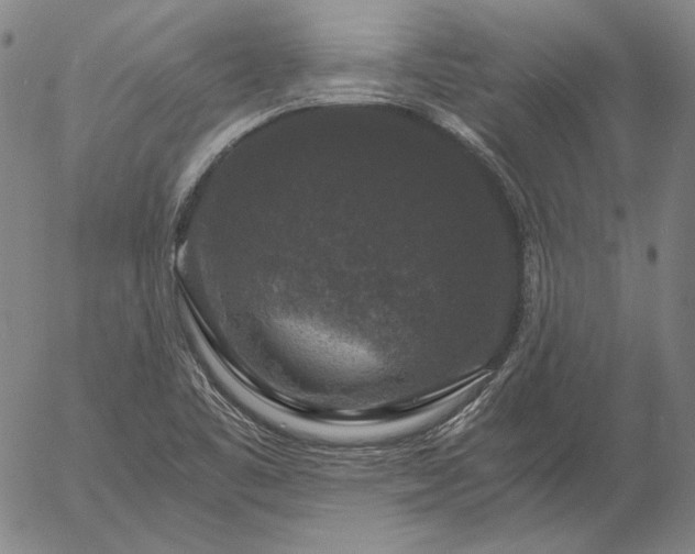 X0000056001461200509021651