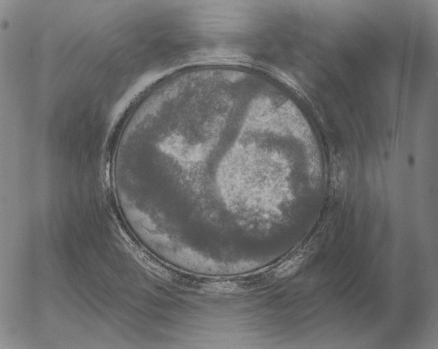 X0000056001462200509021651