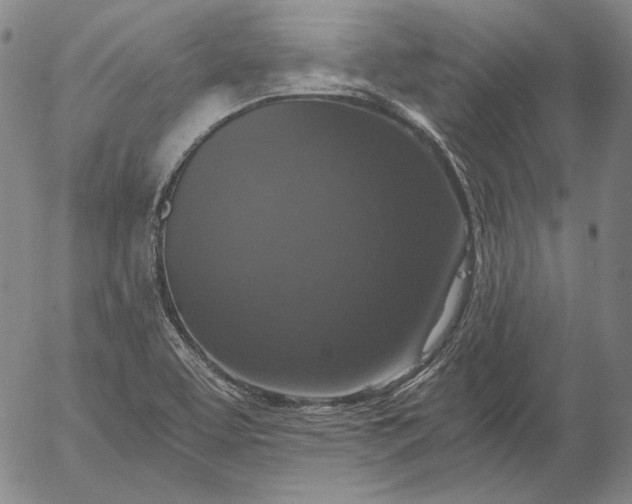 X0000056001463200509021651