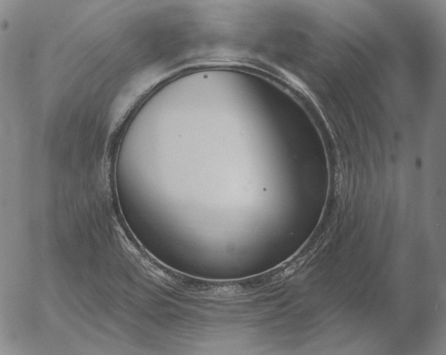 X0000056001464200509021651