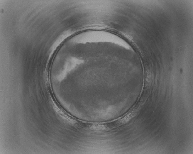 X0000056001466200509021651