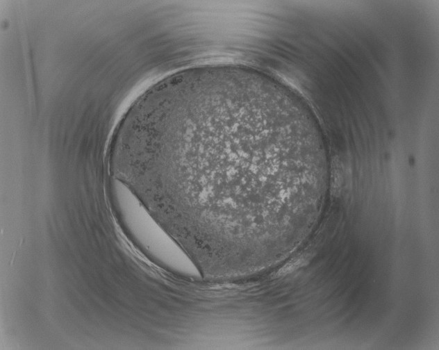 X0000056001467200509021651