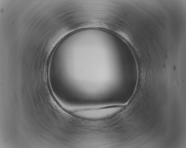 X0000056001468200509021651