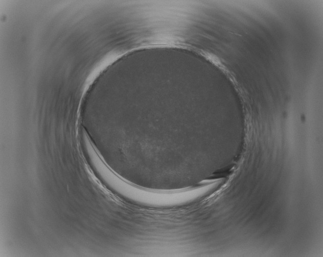 X0000056001469200509021651