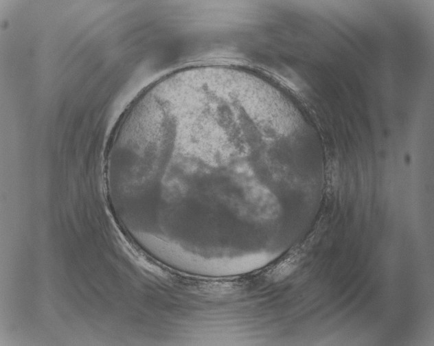 X0000056001470200509021651