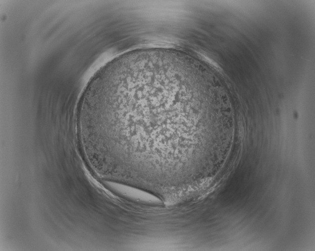 X0000056001471200509021651