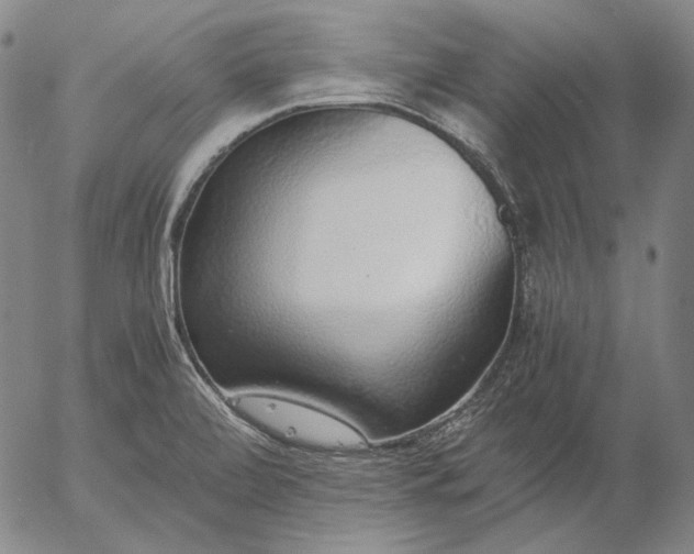 X0000056001472200509021651