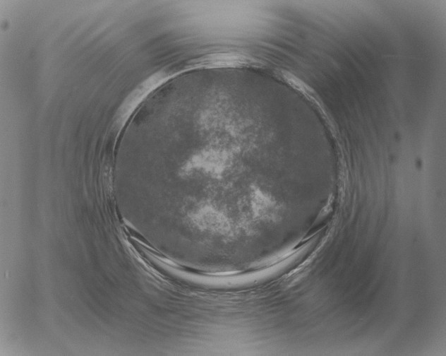 X0000056001473200509021651