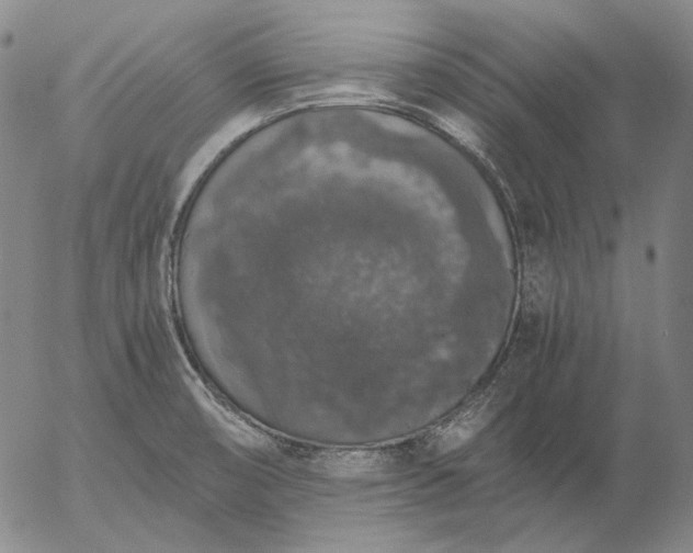 X0000056001474200509021651