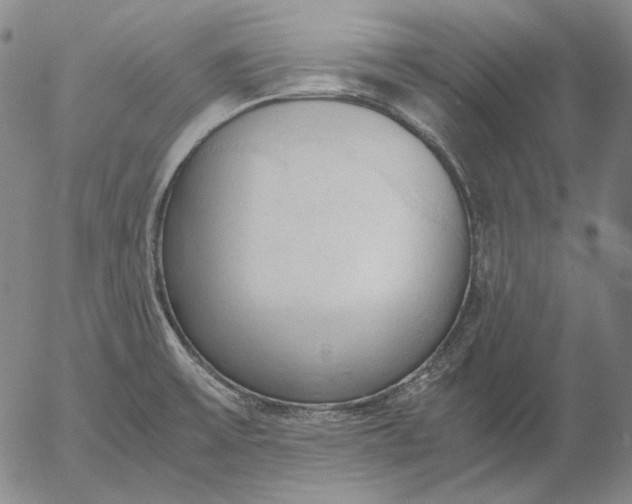 X0000056001475200509021651