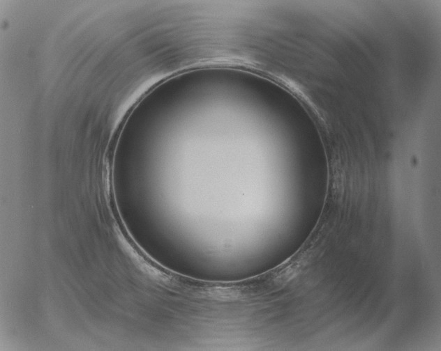 X0000056001476200509021651