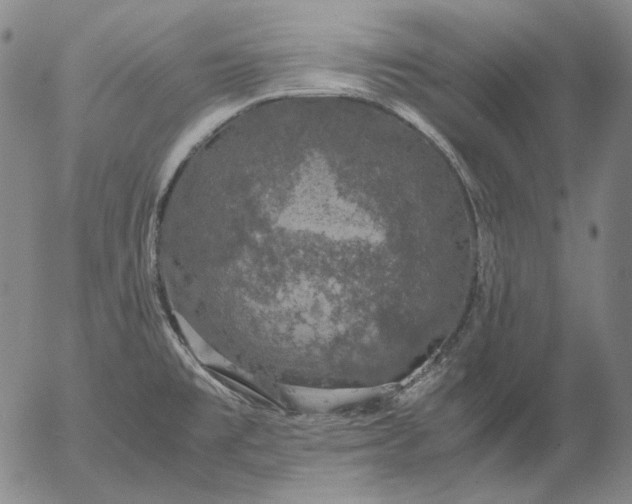 X0000056001477200509021651