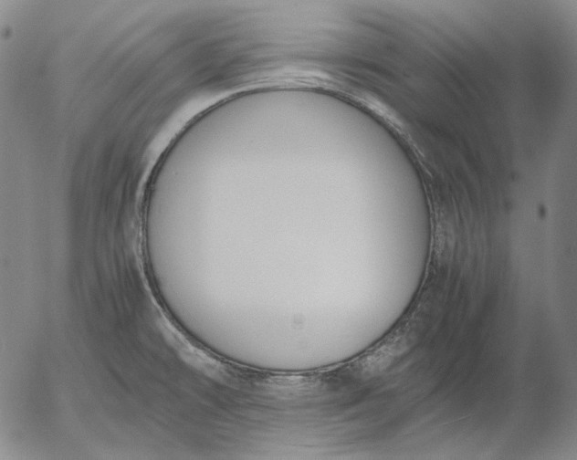 X0000056001478200509021651