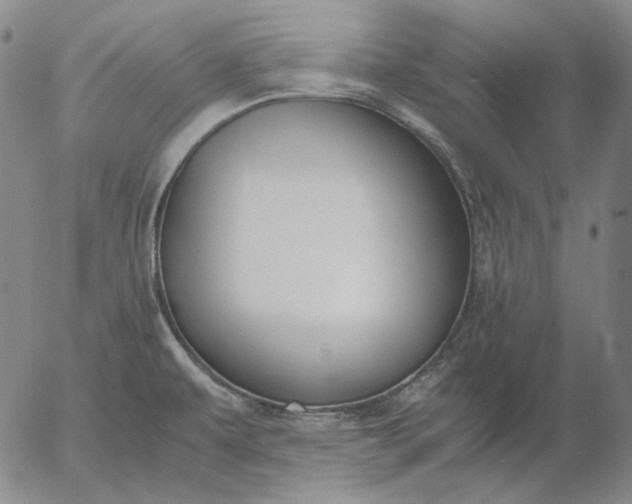 X0000056001479200509021651