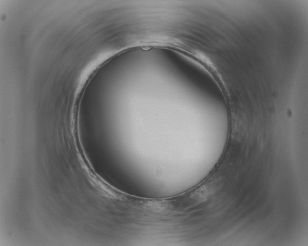 X0000056001480200509021651