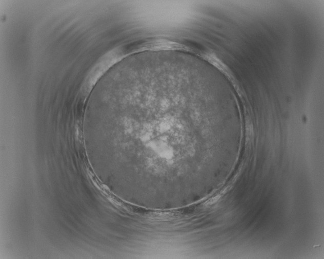 X0000056001481200509021651