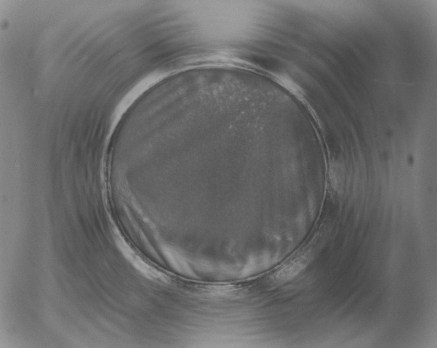 X0000056001482200509021651