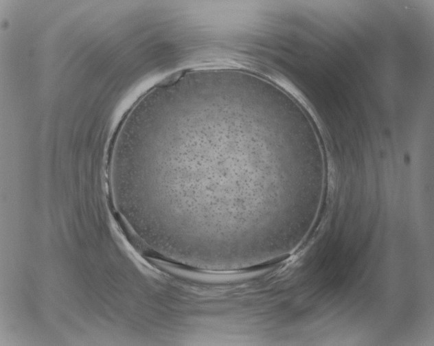 X0000056001485200509021651