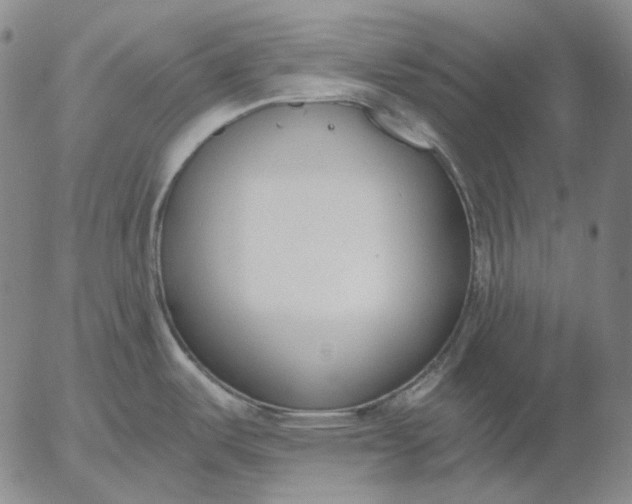 X0000056001487200509021651