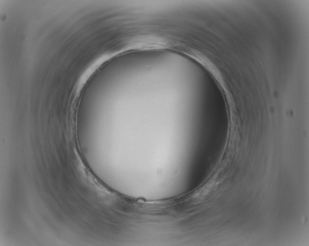 X0000056001488200509021651