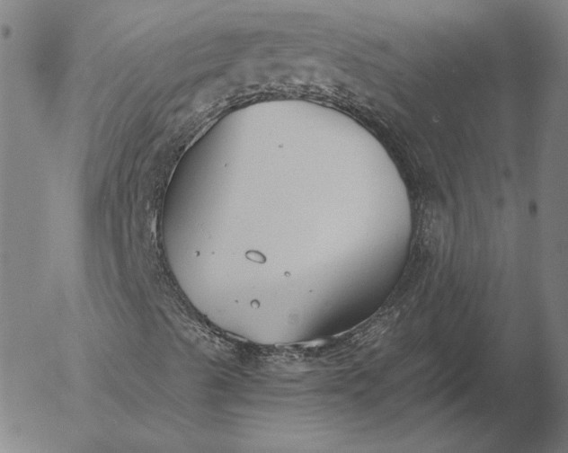 X0000056001489200509021650