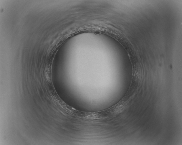 X0000056001490200509021650