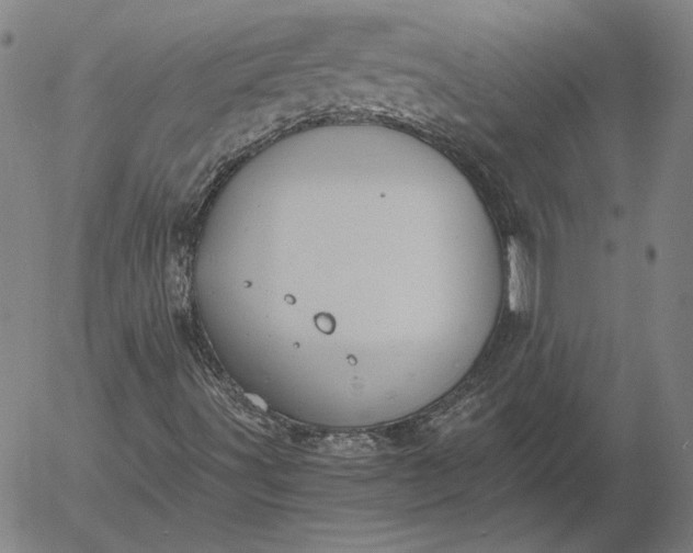 X0000056001491200509021650