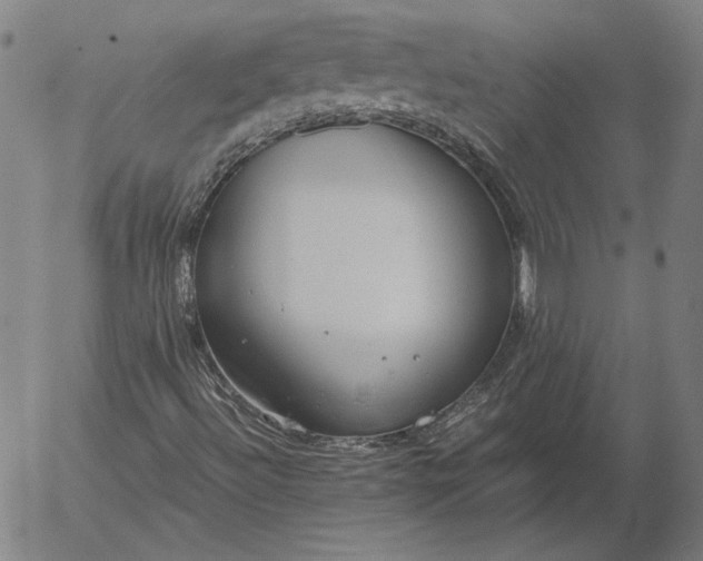 X0000056001492200509021650