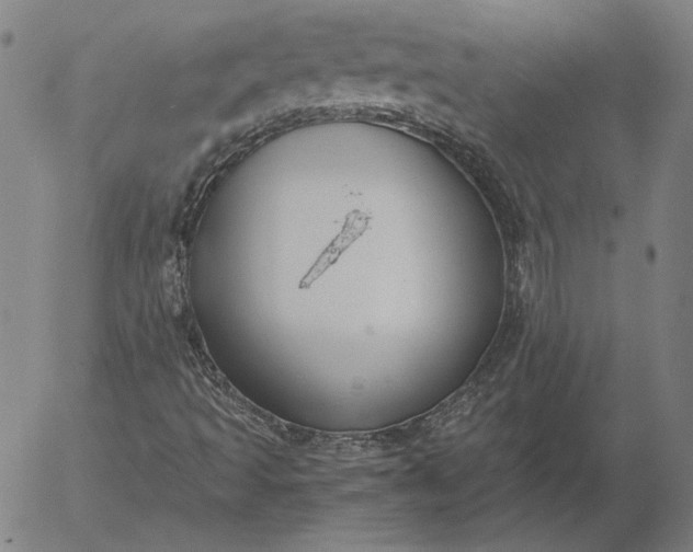 X0000056001493200509021650