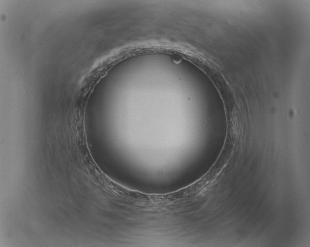 X0000056001494200509021650