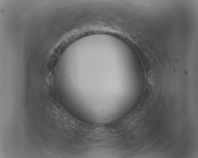 X0000056001495200509021650