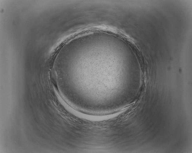 X0000056001496200509021650