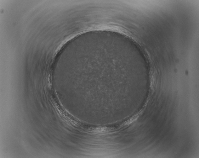 X0000056001497200509021650