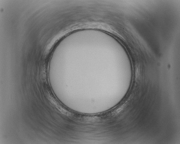 X0000056001498200509021650