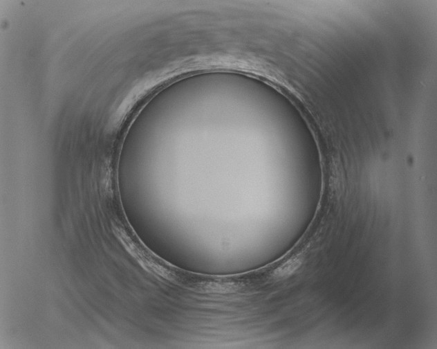 X0000056001499200509021650