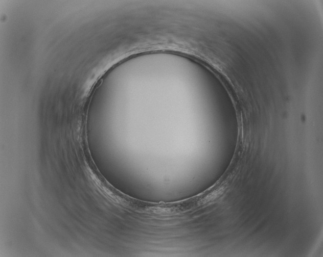 X0000056001500200509021650