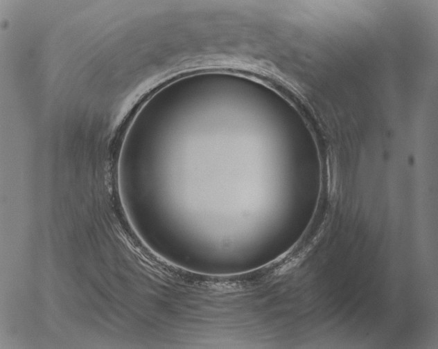 X0000056001501200509021650