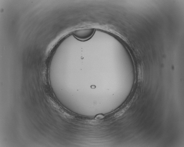 X0000056001502200509021650