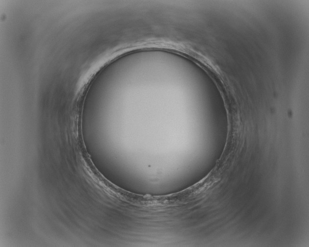 X0000056001504200509021650