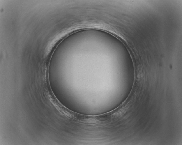 X0000056001507200509021650