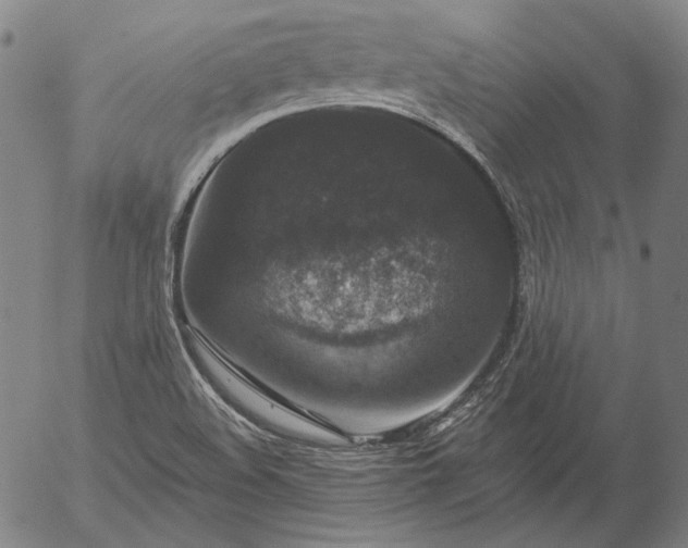 X0000056001508200509021650