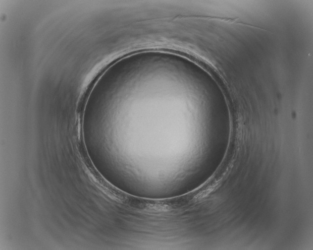 X0000056001509200509021650