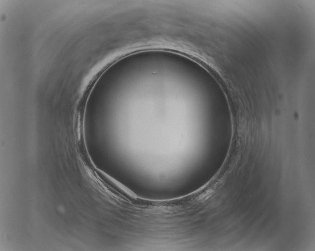 X0000056001510200509021651