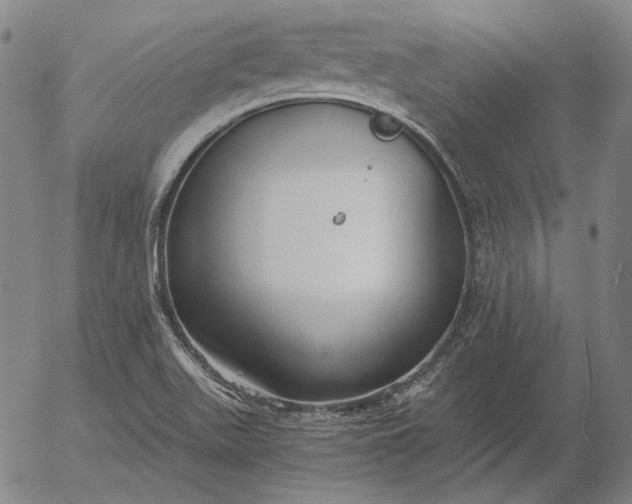 X0000056001511200509021651