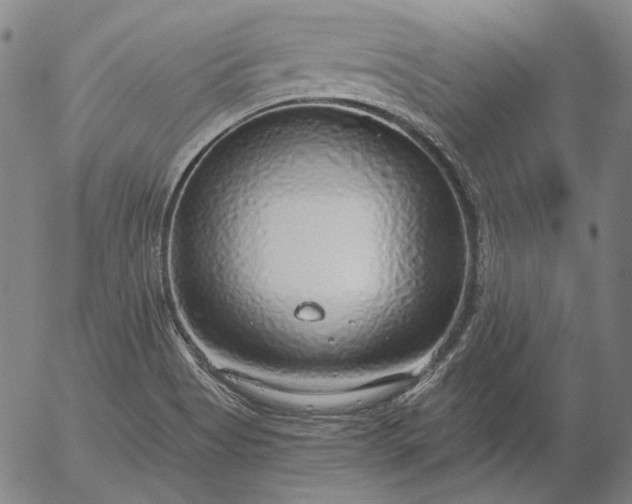 X0000056001513200509021651