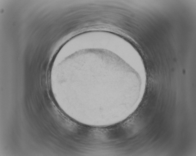 X0000056001514200509021651